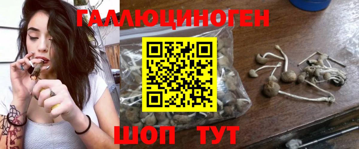 Псилоцибиновые грибы мицелий Уварово