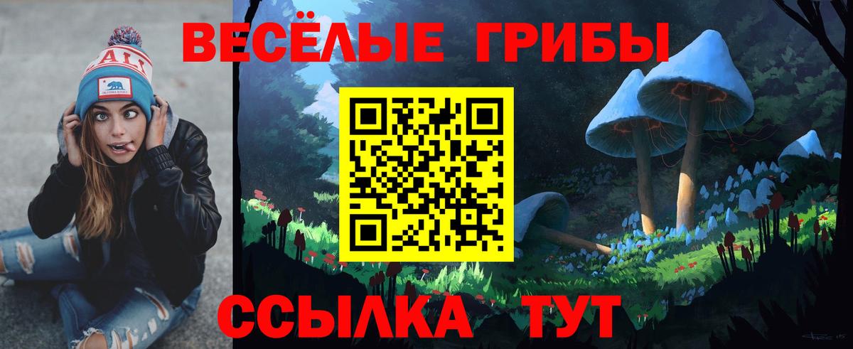 Галлюциногенные грибы GOLDEN TEACHER  Вход с VPN  Уварово 